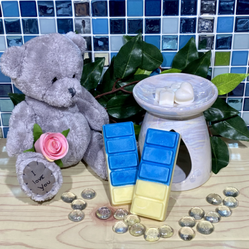 Blueberry & Vanilla Snap Bar